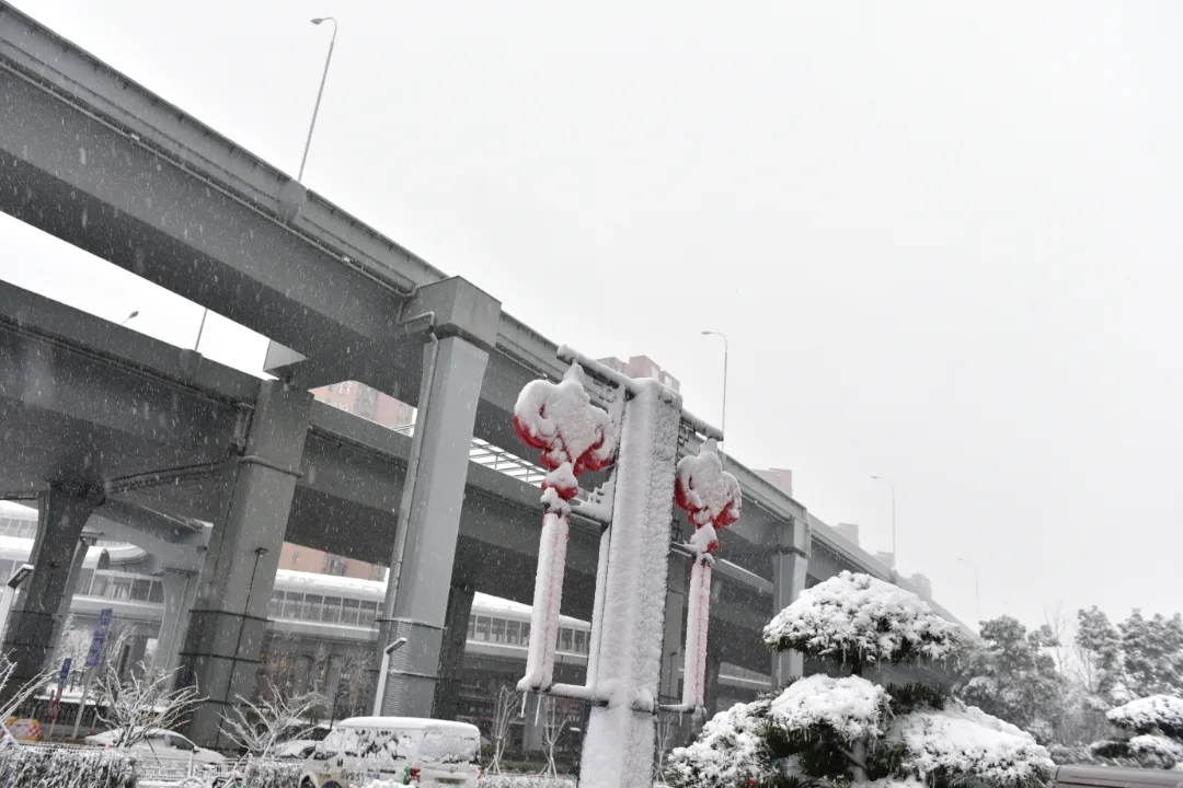 圖片 5.png 圖片 5.png